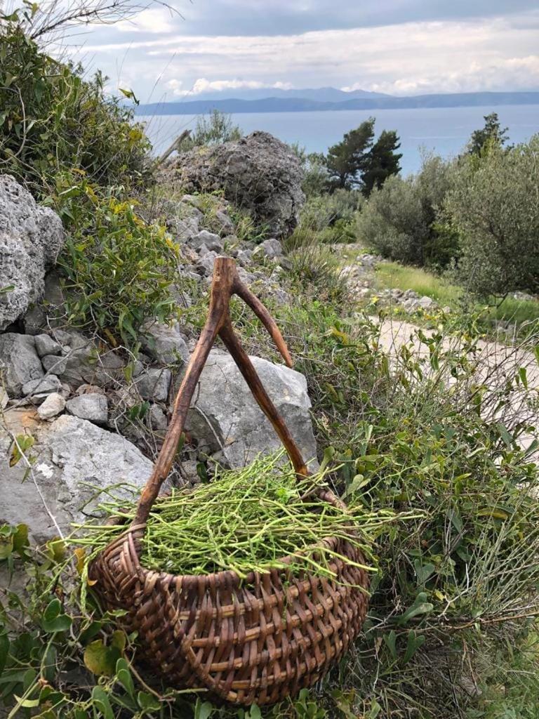 Apartments File Five Podgora Luaran gambar
