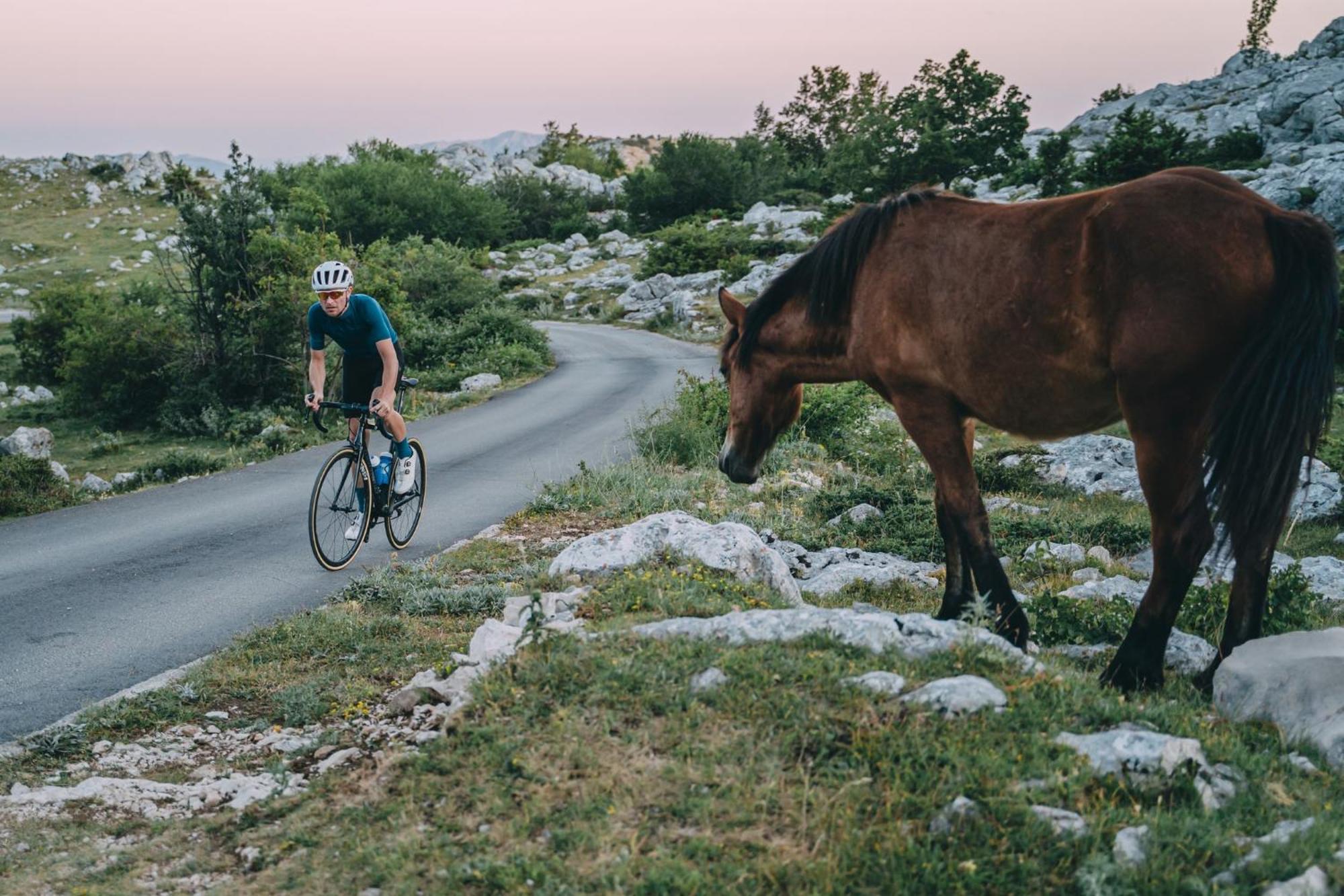 Apartments File Five Podgora Luaran gambar